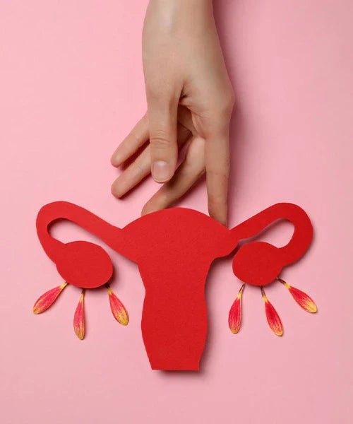 Menstrual Care